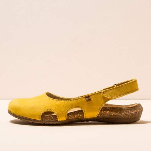 el naturalista n413 wakataua