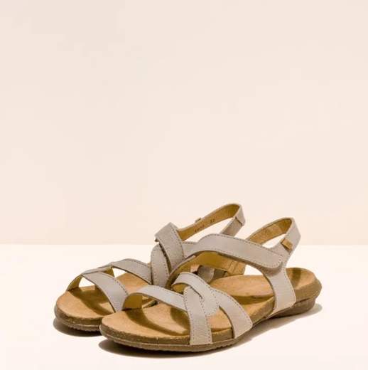 el naturalista N5079