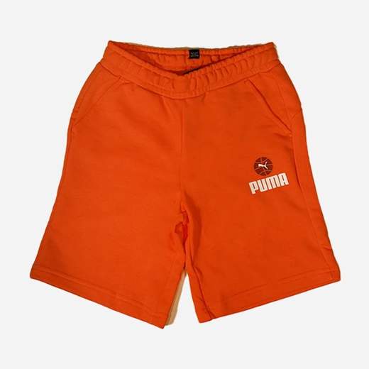 PUMA 684811