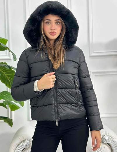 DATCH DW2292