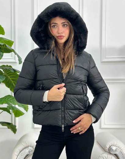 DATCH DW2292