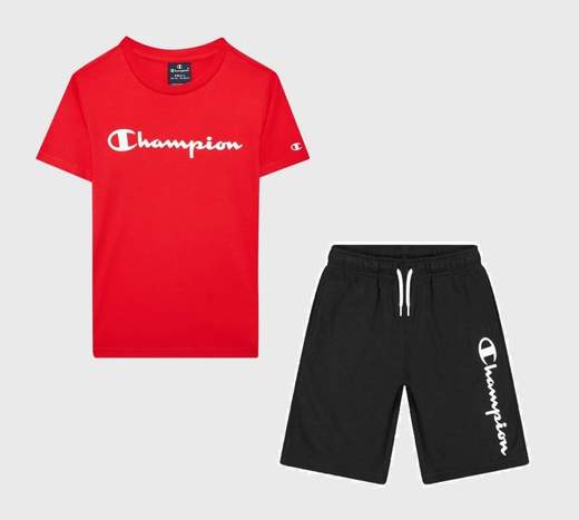 CHAMPION 306285