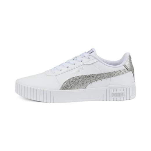 PUMA 387622