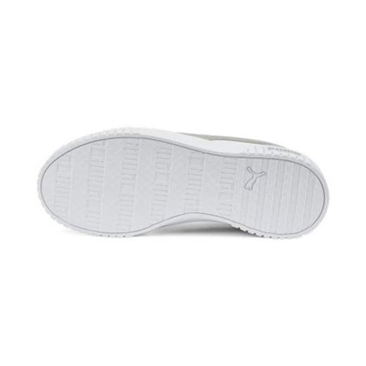PUMA 387622