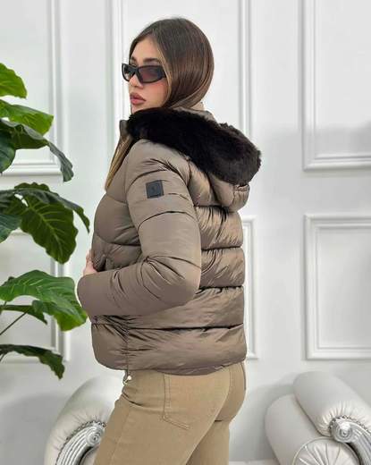 DATCH DW2292