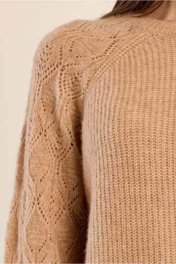 MOLLY BRACKEN T2336EN