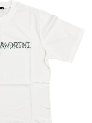 DANIELE ALESSANDRINI DUTC0009-JCO0481