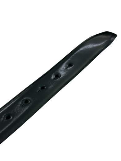 DANIELE ALESSANDRINI DA1SS25V002