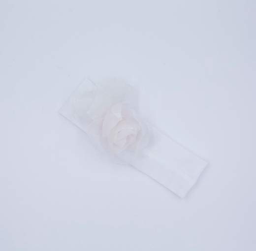 Colorichiari FN977093/AF584