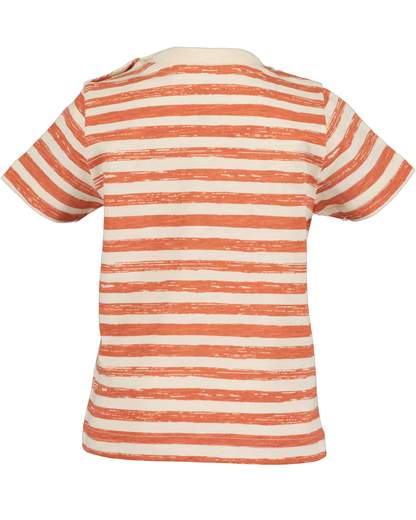 Blue Seven Completo Bermuda + T-shirt Bimbo