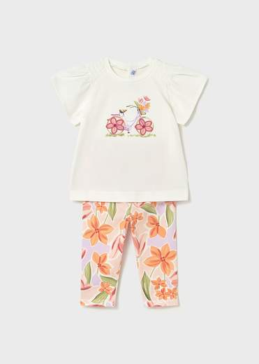 Mayoral 1747