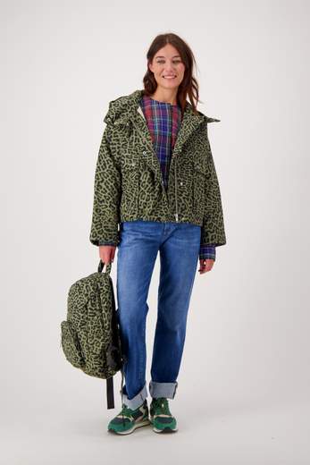 CIGALA'S 253 STRAIGHT 7Y