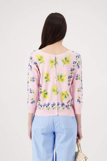 JEI'S C154 MIMOSE