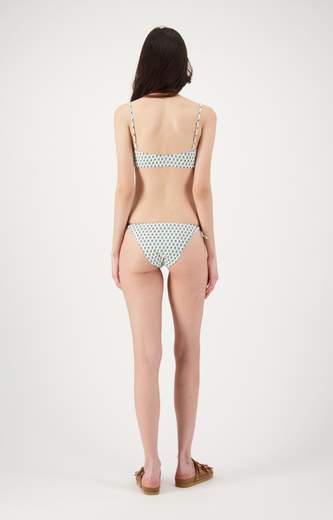 DELFINA VERA BLUE LILY