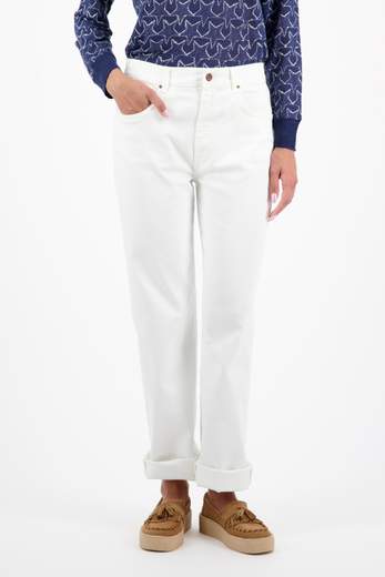 CIGALA'S V01 REGULAR TDRS12