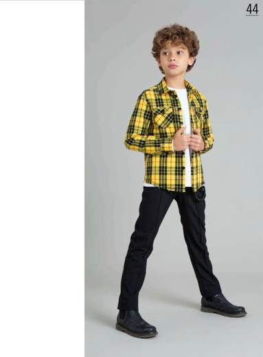 alessandrini 1231P00057