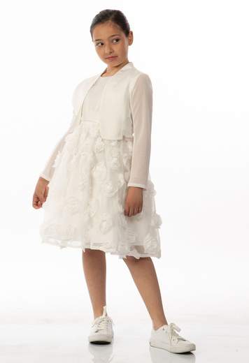 ALICE PI S24-2917