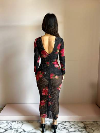 ALMA SANCHEZ ACHELTE-PXS