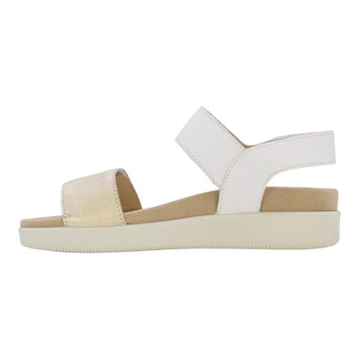 ENVAL SOFT 1287933