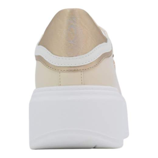 PACIOTTI 4US 4BX-161-BE