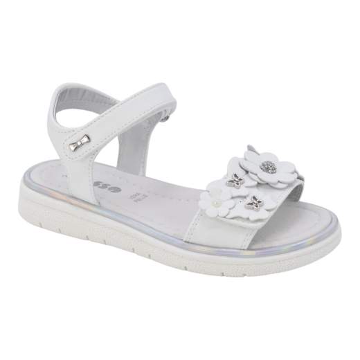 ASSO AG17231-16096-B
