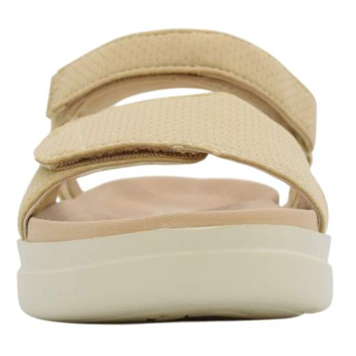PITAS MAPLE-67-BE