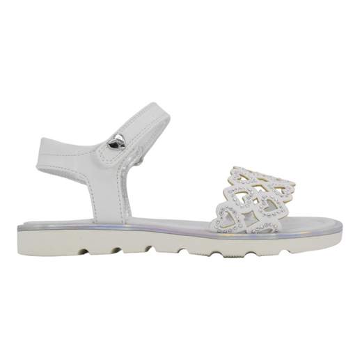 ASSO AG16204-15406-B
