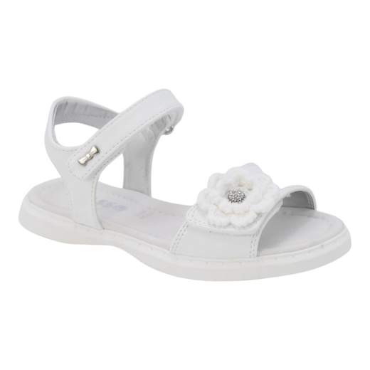 ASSO AG17290-16133-B