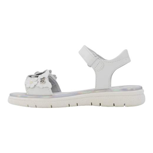 ASSO AG17231-16096-B