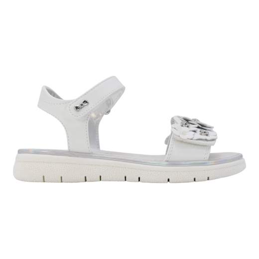 ASSO AG17231-16096-B