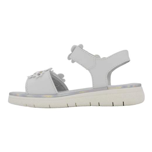 ASSO AG16340-15482-B