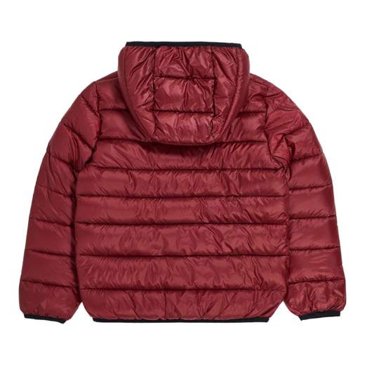 CHAMPION 306568-RS508TBR