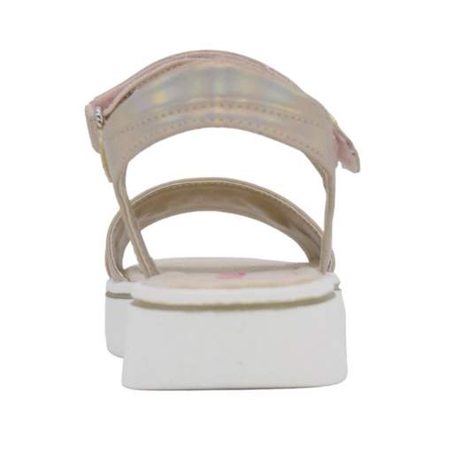 ASSO AG14845-14563CI