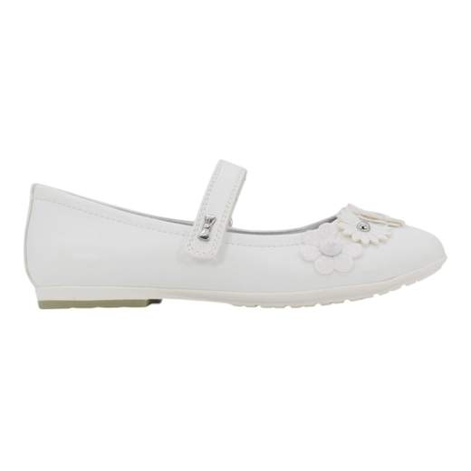 ASSO AG17081-16037-B