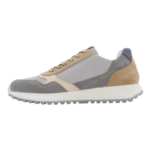 IGI & CO 1118611
