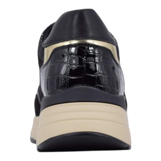 PACIOTTI 4US 4BX-272-N