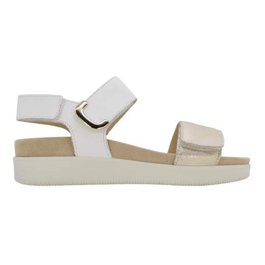 ENVAL SOFT 1287933