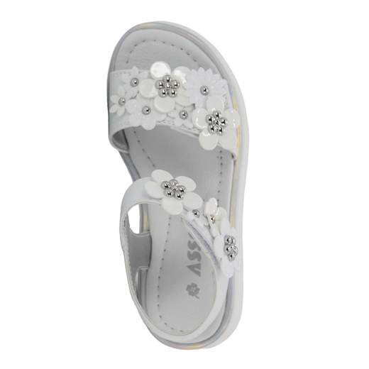 ASSO AG16340-15482-B