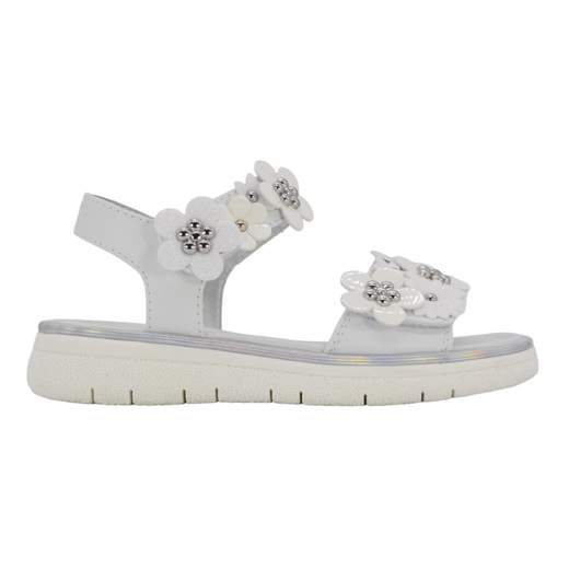 ASSO AG16340-15482-B