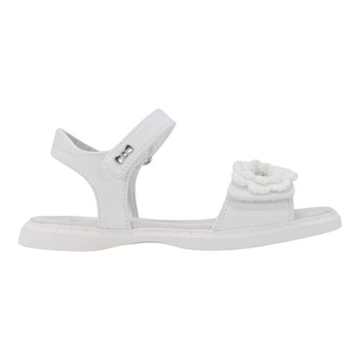 ASSO AG17290-16133-B