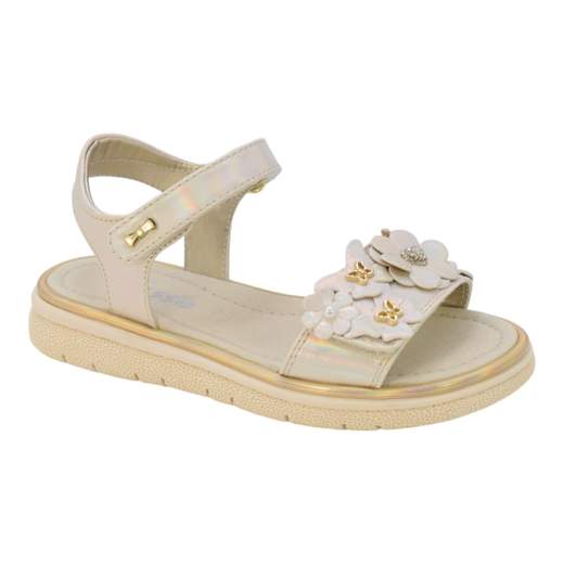 ASSO AG17231-16097-BE