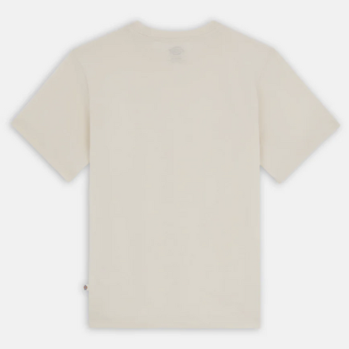 Dickies DK0A4XDBF901