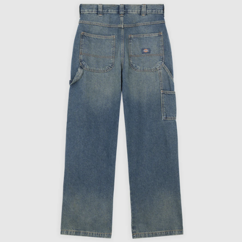 Dickies DK0A863TL231