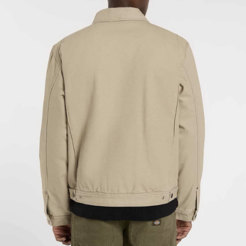 Dickies DK0A87O20DS1