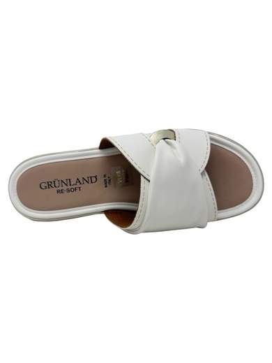GRÜNLAND CI1910