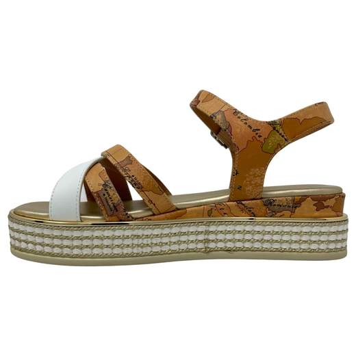 ALVIERO MARTINI 1 CLASSE 1875 0371