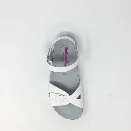 BIONATURA 22B1005 B D