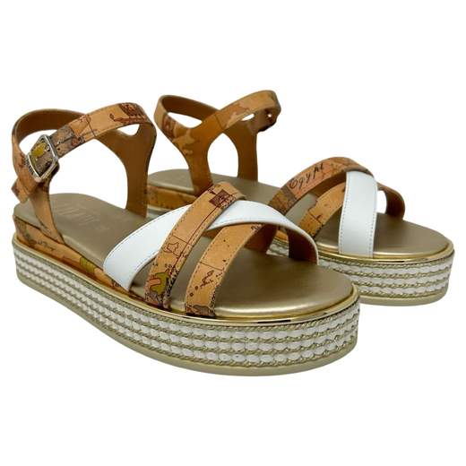ALVIERO MARTINI 1 CLASSE 1875 0371