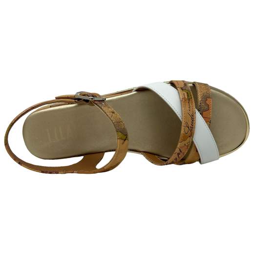 ALVIERO MARTINI 1 CLASSE 1875 0371