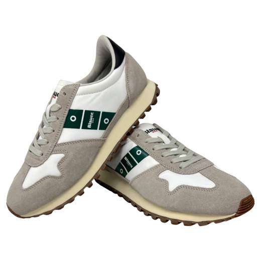 BLAUER S3DAWSON02/NYS